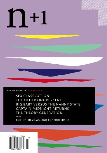 Cover of n+1 Issue 14: Awkward Age