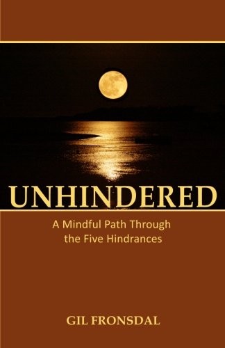 Cover of Unhindered