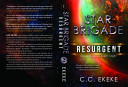 Cover of Star Brigade