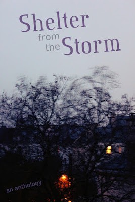 Cover of Shelter from the Storm