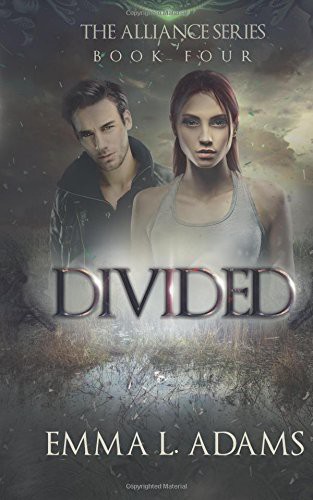 Cover of Divided