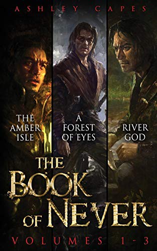 Cover of The Book of Never