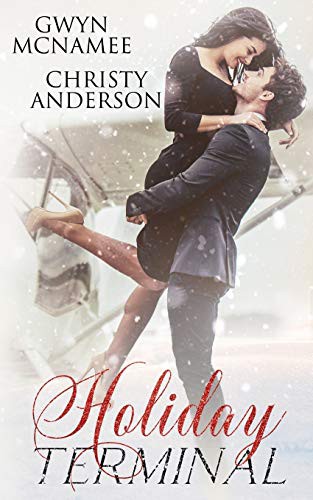 Cover of Holiday Terminal