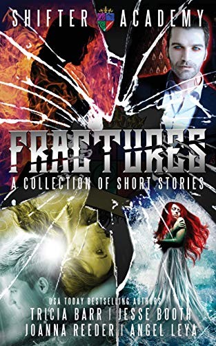 Cover of Fractures