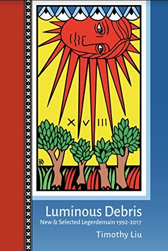 Cover of Luminous Debris