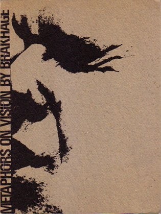 Cover of Metaphors on vision