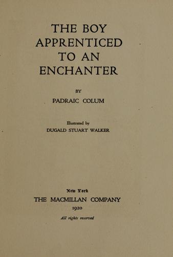 Cover of The boy apprenticed to an enchanter