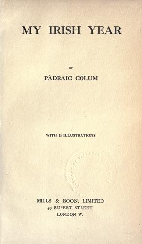 Cover of My Irish year