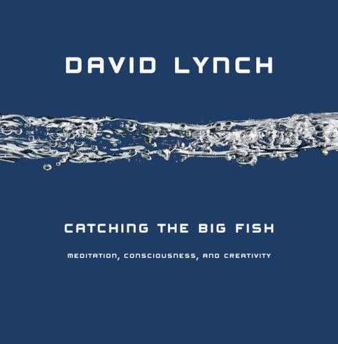 Cover of Catching the Big Fish