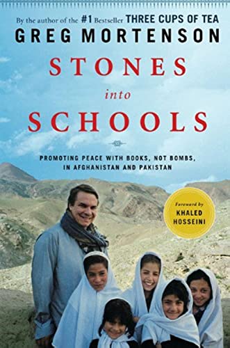 Cover of Stones into schools