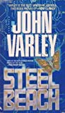 Cover of Steel Beach