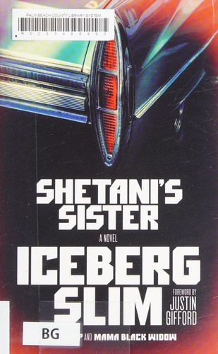 Cover of Shetani's sister
