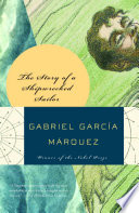 Cover of Story of a Shipwrecked Sailor