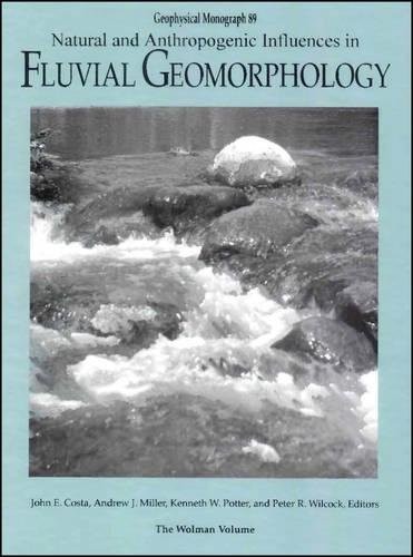 Cover of Natural and anthropogenic influences in fluvial geomorphology