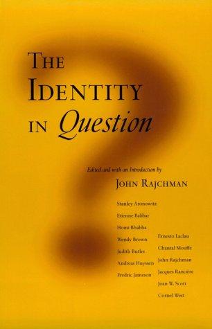 Cover of The identity in question