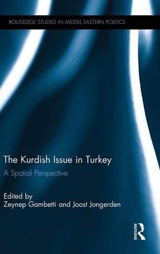 Cover of The Kurdish Issue in Turkey