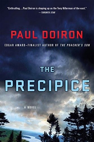 Cover of The precipice