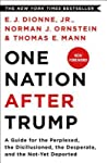 Cover of One Nation After Trump: A Guide for the Perplexed, the Disillusioned, the Desperate, and the Not-Yet Deported