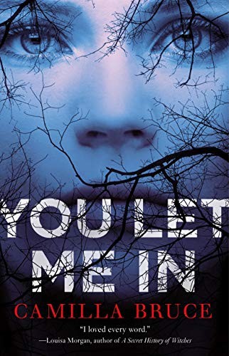 Cover of You Let Me In
