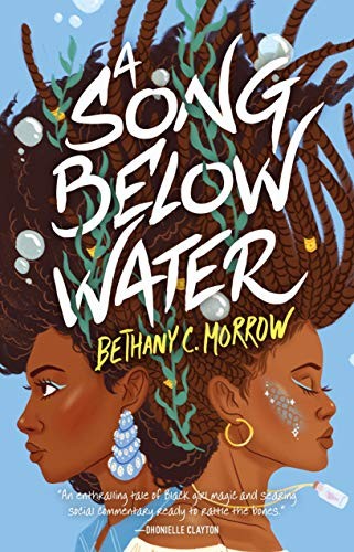 Cover of A Song Below Water