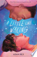 Cover of A Little Like Waking