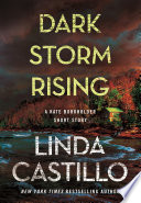 Cover of Dark Storm Rising