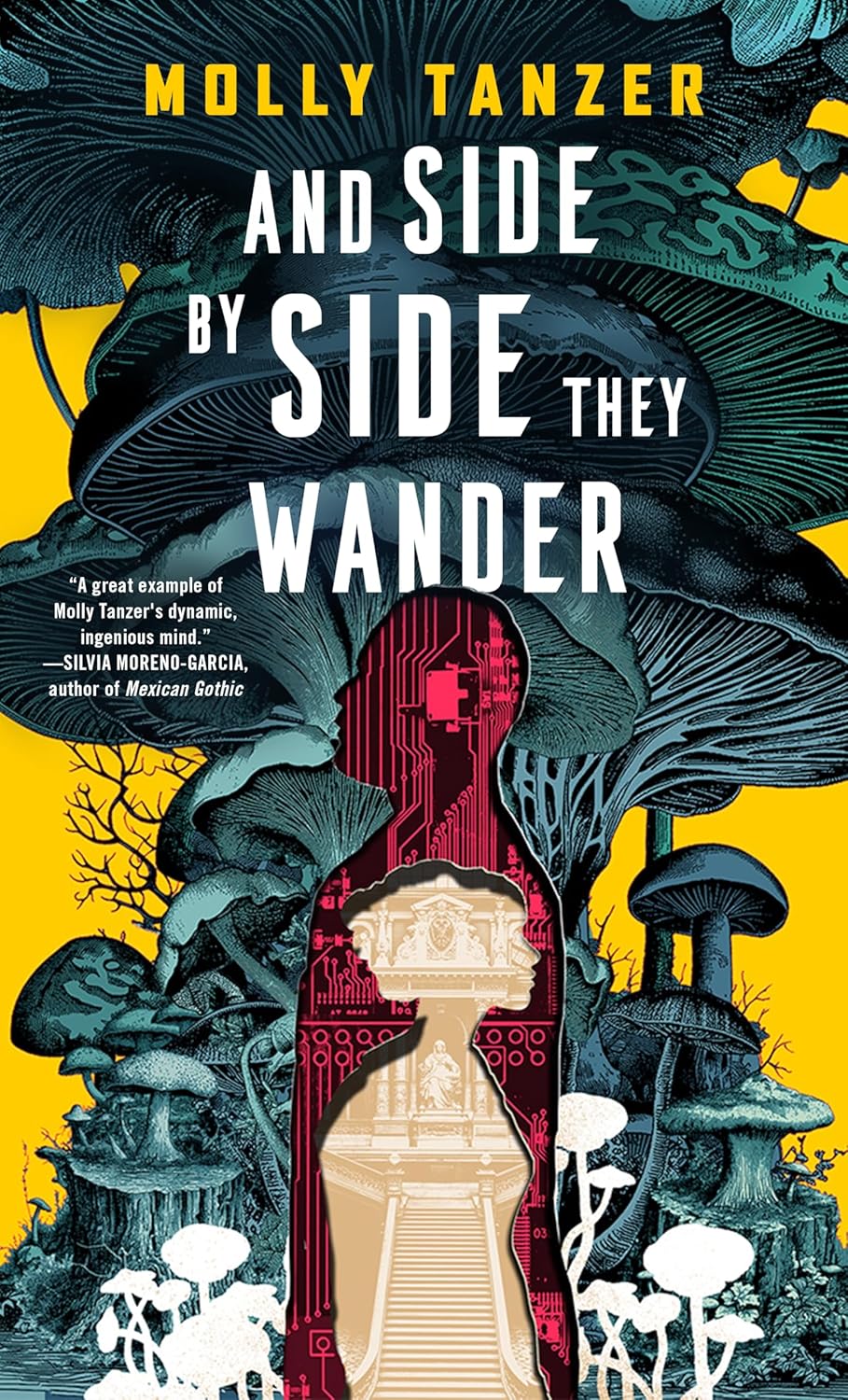 Cover of And Side by Side They Wander