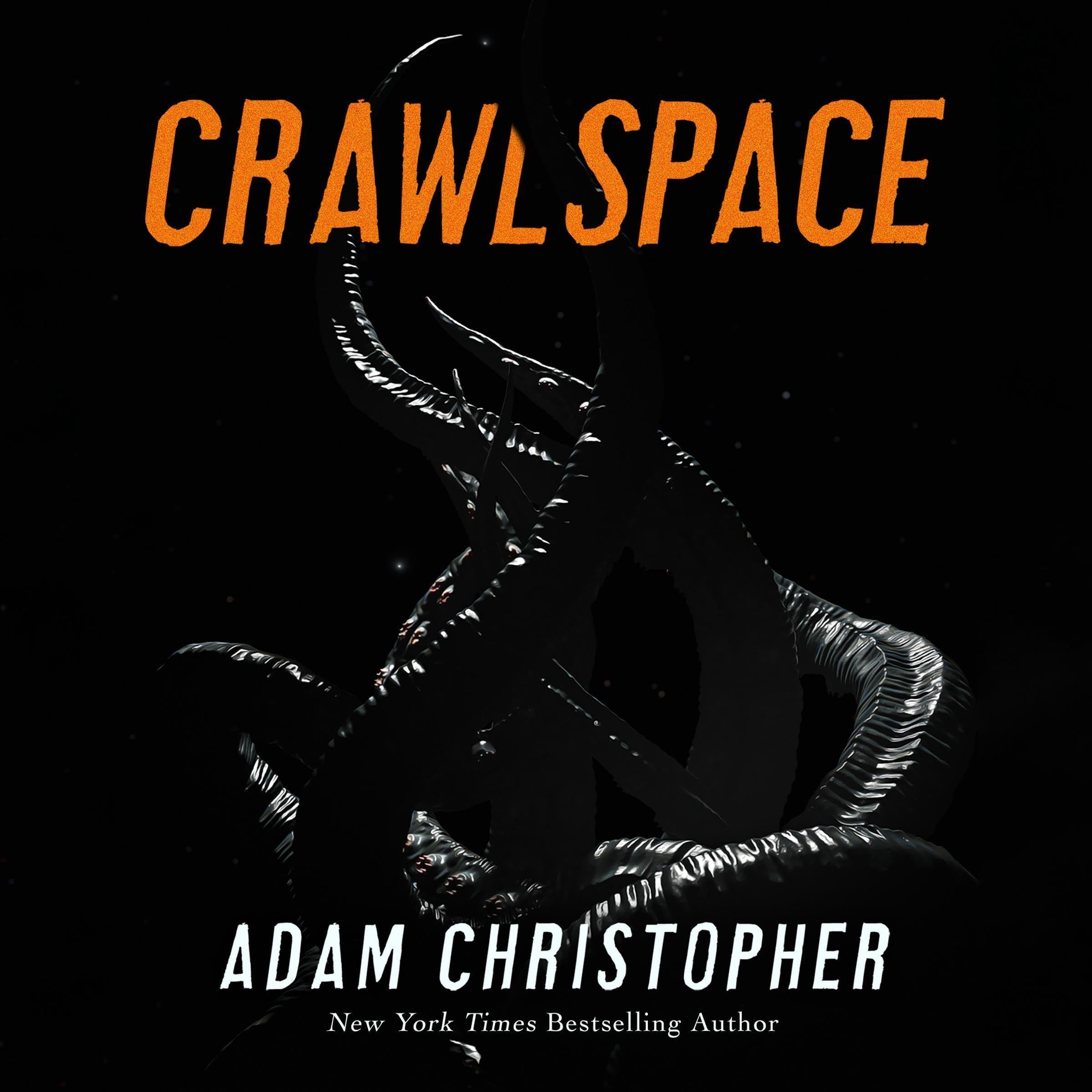 Cover of Crawlspace