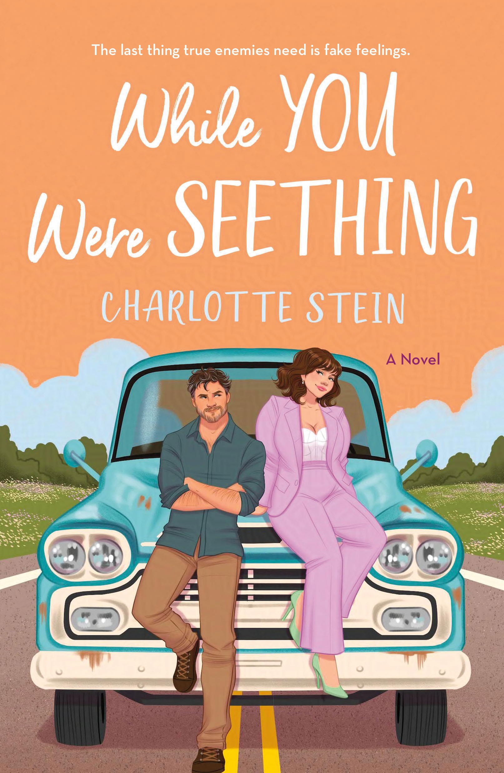 Cover of While You Were Seething