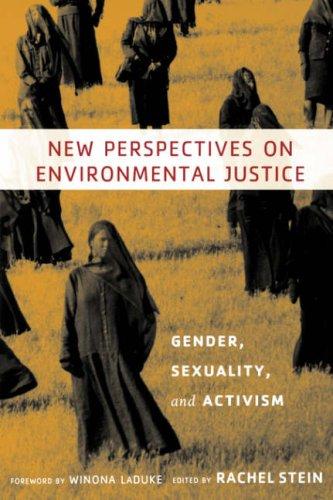 Cover of New perspectives on environmental justice