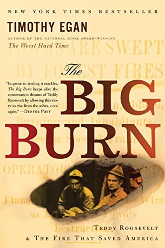 Cover of The big burn