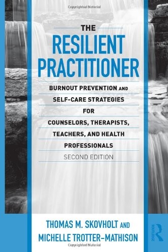 Cover of The resilient practitioner