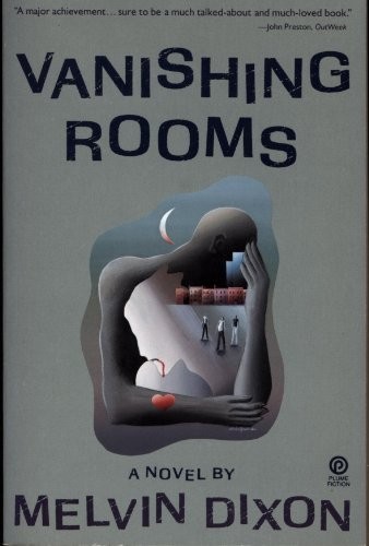 Cover of Vanishing Rooms