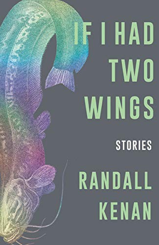Cover of If I Had Two Wings