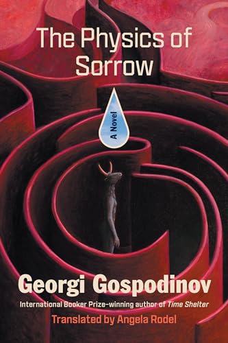 Cover of The Physics of Sorrow