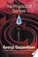 Cover of The Physics of Sorrow: A Novel