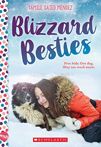 Cover of Blizzard Besties