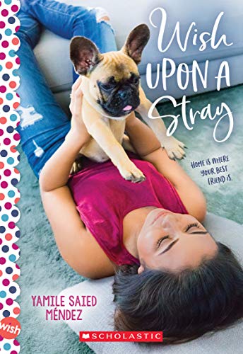 Cover of Wish Upon a Stray