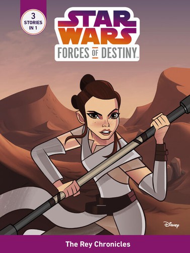 Cover of The Rey Chronicles