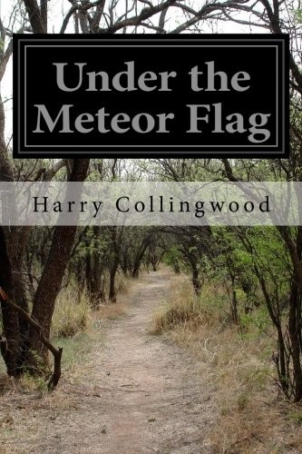 Cover of Under the meteor flag