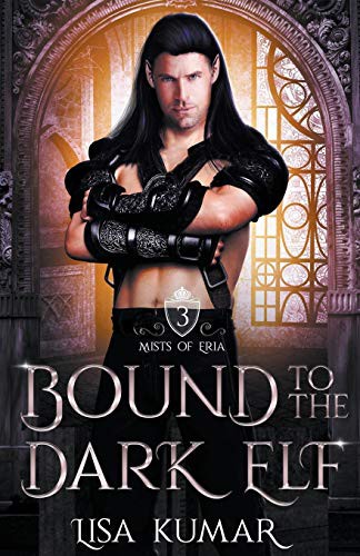 Cover of Bound to the Dark Elf