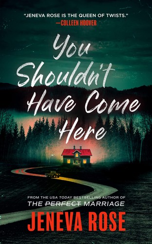 Cover of You Shouldn't Have Come Here