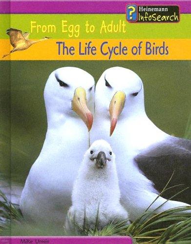 Cover of The Life Cycle of Birds (From Egg to Adult)