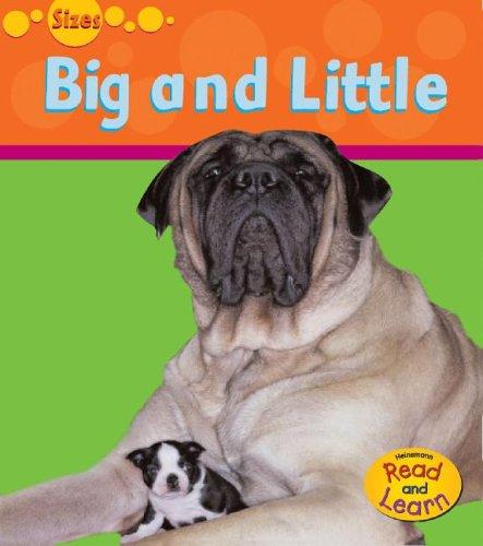 Cover of Big And Small