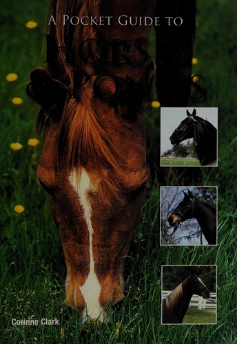 Cover of A pocket guide to horses & ponies