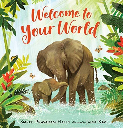 Cover of Welcome to Your World