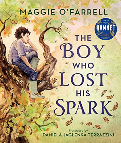 Cover of The Boy Who Lost His Spark