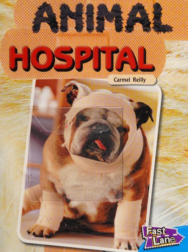 Cover of Animal hospital