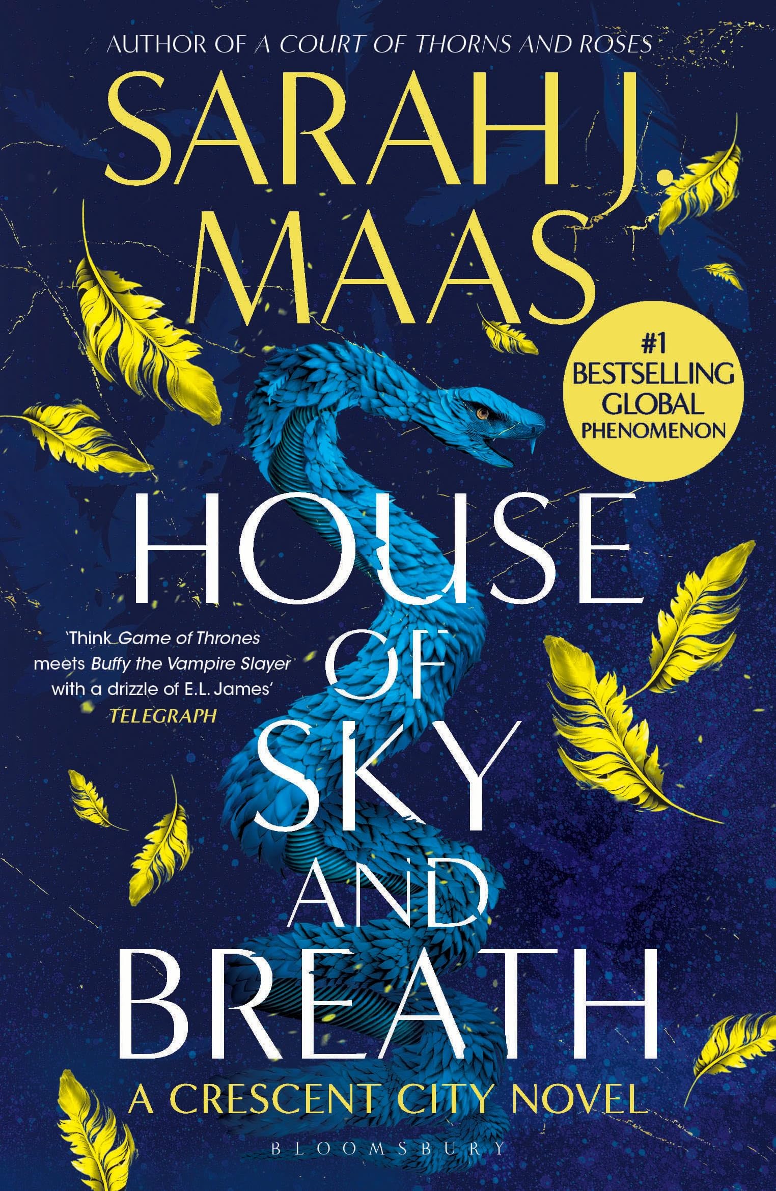 Cover of House of Sky and Breath