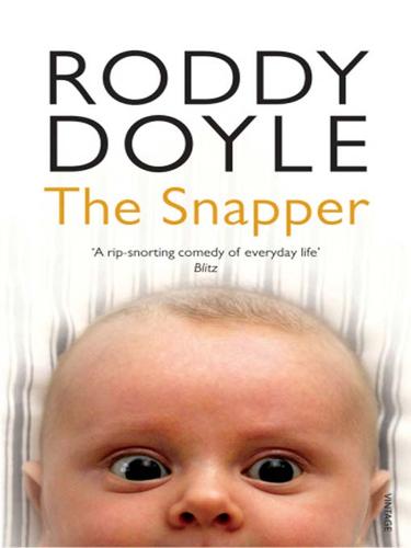 Cover of The Snapper